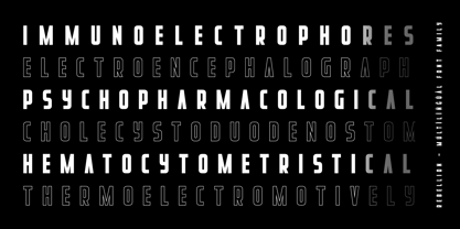 Rebellion Font Poster 12