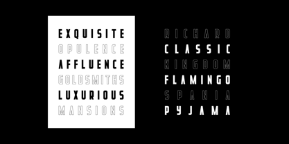 Rebellion Font Poster 2