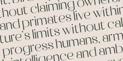 Raslera Font Poster 11