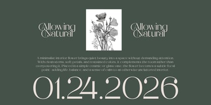 Raslera Font Poster 4