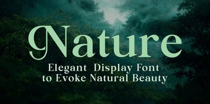 Kachiba Font Poster 4