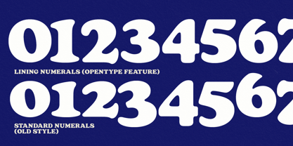 Barnes Font Poster 6