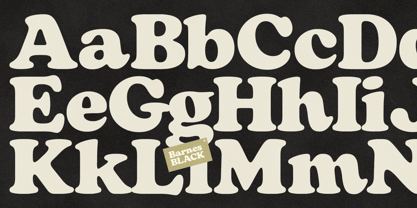 Barnes Font Poster 3