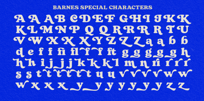 Barnes Font Poster 8