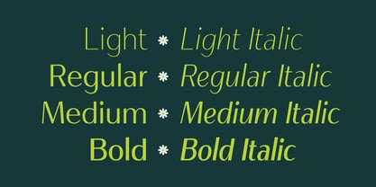 Salvea Font Poster 2