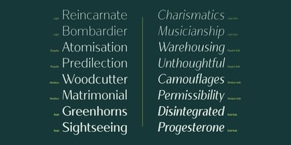 Salvea Font Poster 11