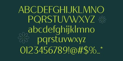 Salvea Font Poster 6