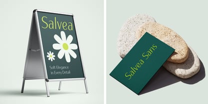 Salvea Font Poster 4
