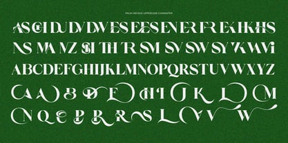 Palm Vintage Font Poster 9
