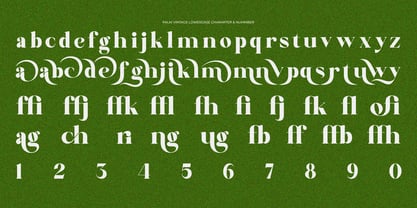 Palm Vintage Font Poster 11