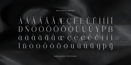Trailogen Font Poster 11