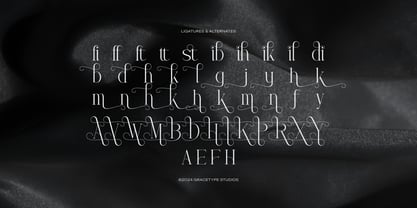 Trailogen Font Poster 12