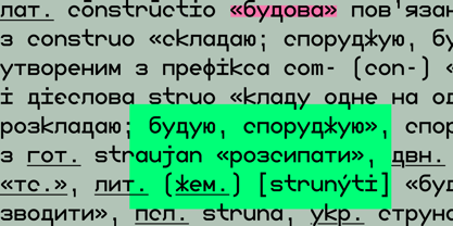 Boodowa Mono Font Poster 14