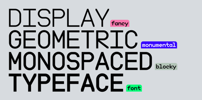 Boodowa Mono Font Poster 3