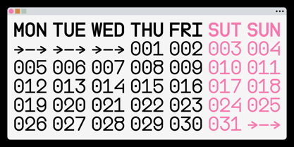 Boodowa Mono Font Poster 11