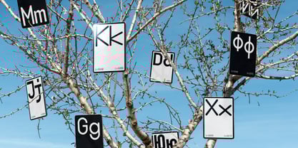 Boodowa Mono Font Poster 5