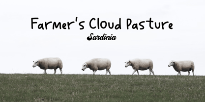 Farmer Marketica Font Poster 4