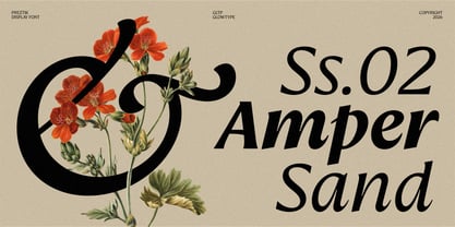 Preztik Variable Font Poster 10