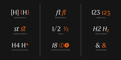 Preztik Font Poster 12
