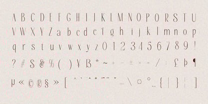 Bloomic Font Poster 7