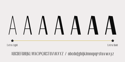 Affiora Font Poster 3
