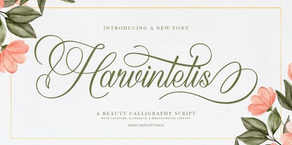 Harvintelis Font Poster 1