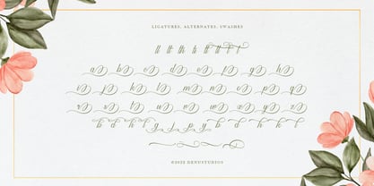 Harvintelis Font Poster 12