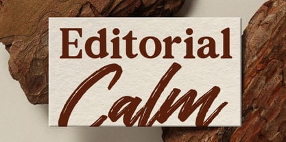 The Redlane Font Poster 6