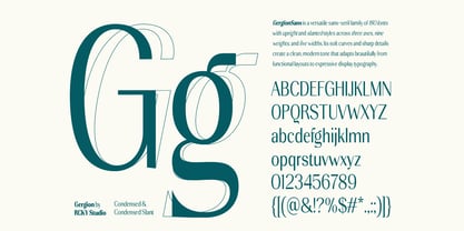 Gergion Font Poster 11