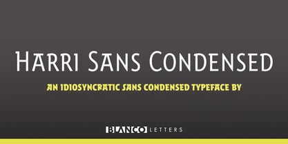 Harri Sans Font Poster 8