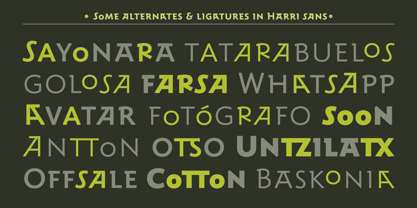 Harri Sans Font Poster 7