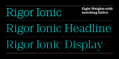 Rigor Ionic Font Poster 6