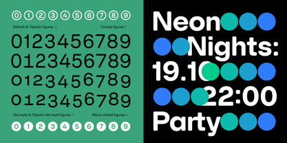 SFT Schrifted Round Font Poster 12