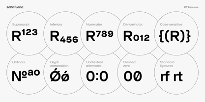 SFT Schrifted Round Font Poster 11