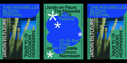 SFT Schrifted Round Font Poster 5