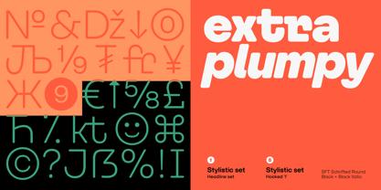 SFT Schrifted Round Font Poster 2