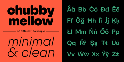 SFT Schrifted Round Font Poster 3