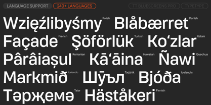 TT Bluescreens Pro Font Poster 7