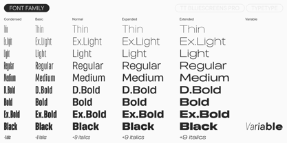 TT Bluescreens Pro Font Poster 4