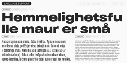 TT Bluescreens Pro Font Poster 8