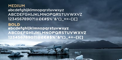 Ryyyki Font Poster 2