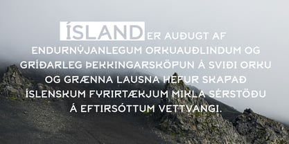 Ryyyki Font Poster 9