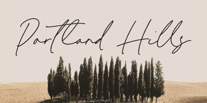 Melisma Signature Font Poster 3