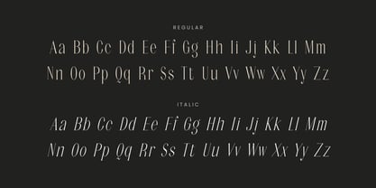 Noctaire Font Poster 14
