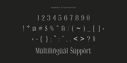 Noctaire Font Poster 15
