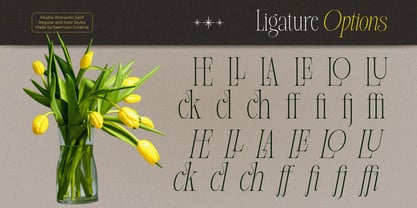 Miojhe Font Poster 15
