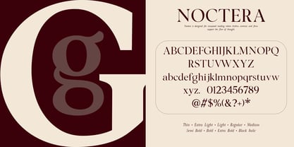 Noctera Font Poster 6