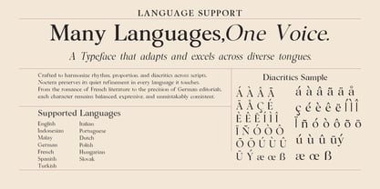 Noctera Font Poster 14