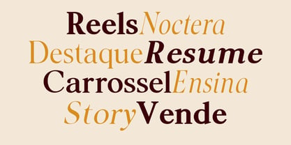 Noctera Variable Font Poster 13