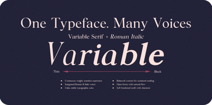 Noctera Variable Font Poster 2